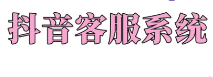 抖音在线沟通软件如何接入？